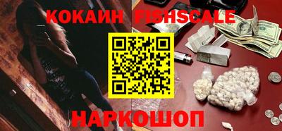 a pvp Камышлов