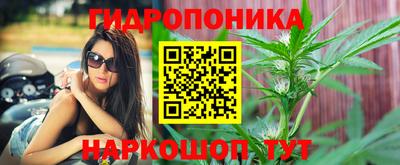 a pvp Камышлов