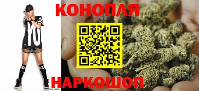 a pvp Камышлов