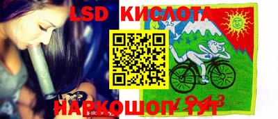 a pvp Камышлов
