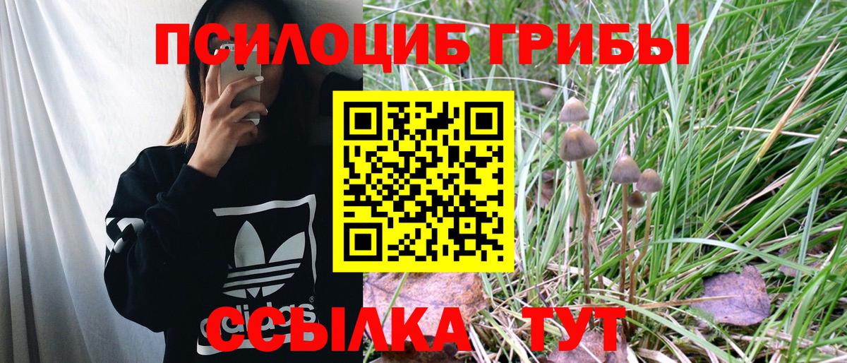 Галлюциногенные грибы Cubensis  Вход с VPN  где найти   Ишим 
