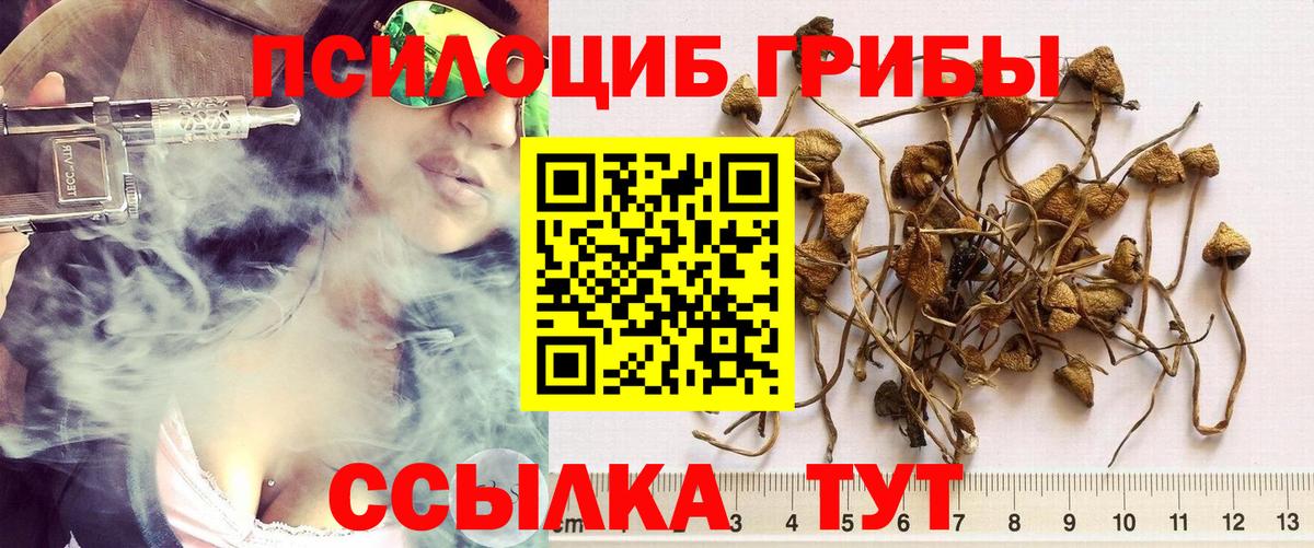 Галлюциногенные грибы мицелий Ишим